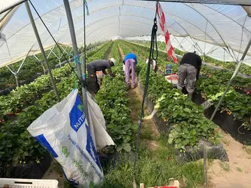 f7761a2c-7c60-497f-a7fb-b099e63f03c6