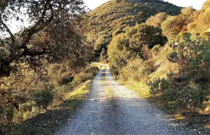 Camino de acceso a explotaciones ganaderas rurales