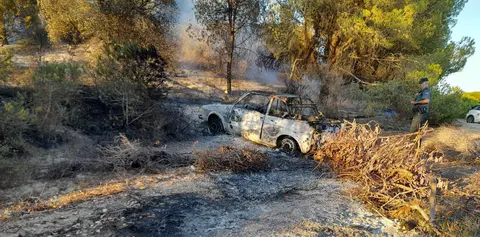 Un agente observa la zona del incendio y el veh&iacute;culo calcinado