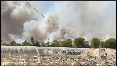 El &uacute;ltimo fuego asola la zona de Bonares-Lucena