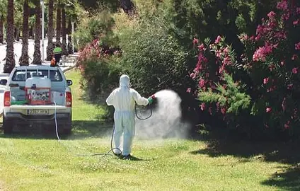 Fumigaciones en Matalascañas