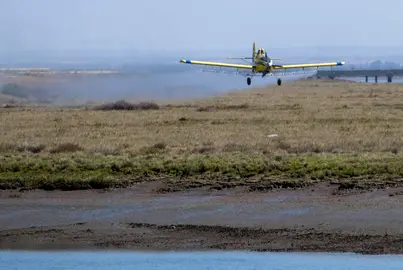 Un avión controlando plagas.
