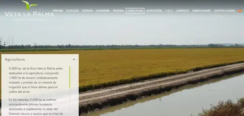 Web corporativa de Veta la Palma