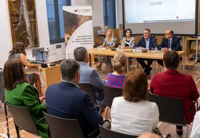 Jornadas de Aminer en la Diputaci&oacute;n