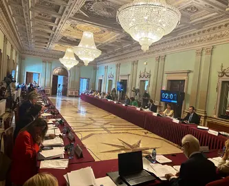 Un momento de la sesión plenaria