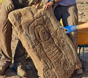 Captura de pantalla de la estela hallada