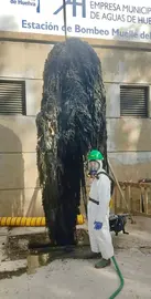 400 kilos de restos de toallitas