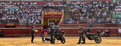 Ejercicios de demostración de los agentes