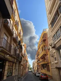 La humareda procedente de Hierros España, sobre el Matadero (Foto: Inma Gallego)