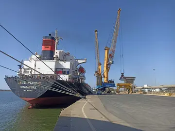 Descarga harina ecologica Puerto de HUelva