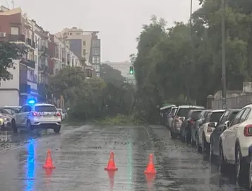 Avenida de Guatemala, cortada