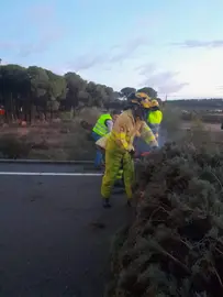Bomberos tratan de desbloquear la carretera