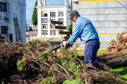 Destrozos en el  Cementerio