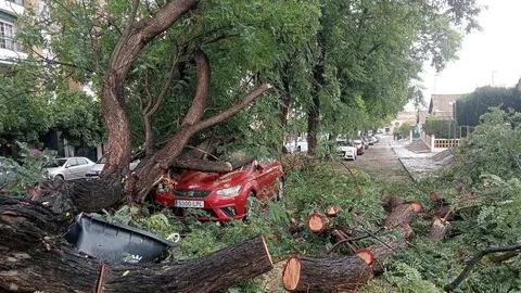 Da&ntilde;os causados por la borrasca de gran impacto Bernard