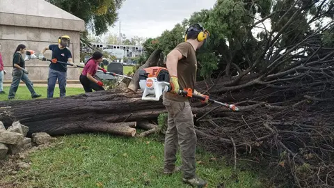Trabajo de los estudiantes del grado en el cementerio de La Soledad