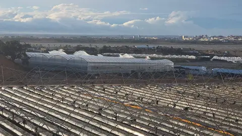Zona agrícola afectada por la borrasca Bernard
