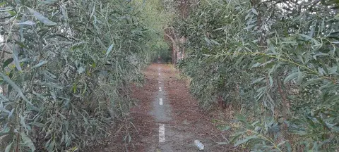 Estado del carril-bici