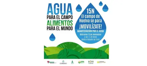 Primer llamamiento a la manifestación del 15N