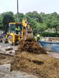 Arreglos en la calle San Sebastian