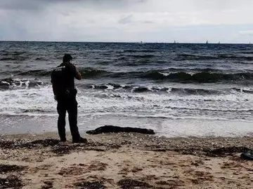 Hallazgo del anterior cad&aacute;ver en la zona