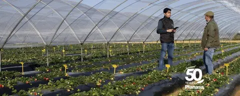 Instalaciones de Planasa