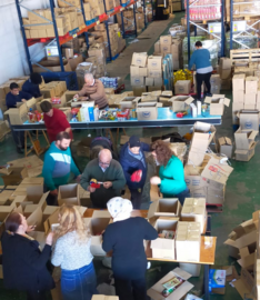 Clasificación Alimentos de la GRan Recogida 2023