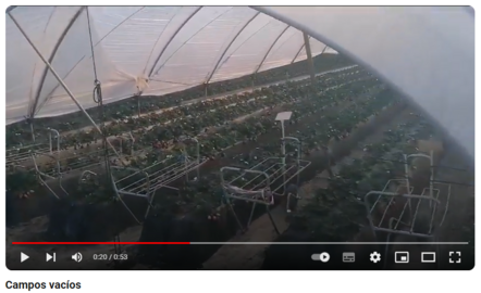 Campos y naves y cooperativas vacíos de trabajadores