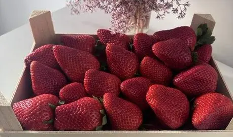 Caja de fresas de producción onubense