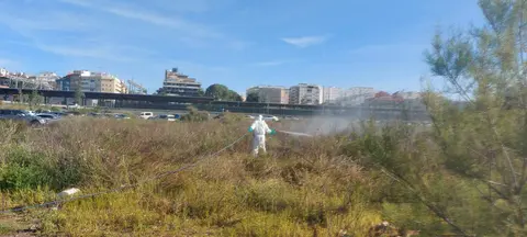 Tratamiento mosquitos en el entorno de Huelva capital