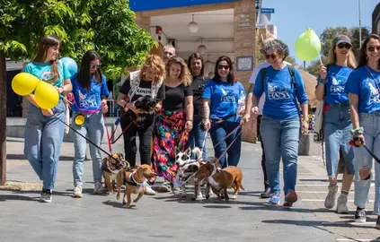 Miranda, en la iniciativa de HADA