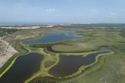 Una de las grandes lagunas de Doñana