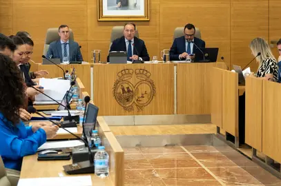 Presidencia del Pleno