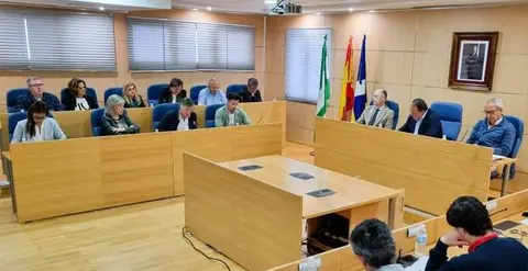 Sesión plenaria presidida por David Toscano