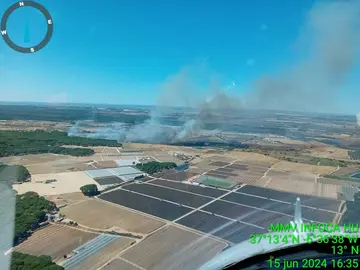 Incendio en el pareje La Teja de Almonte