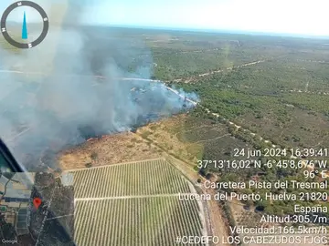 Toma aérea del fuego en el Arroyo Don Gil de Lucena (Foto: Infoca)