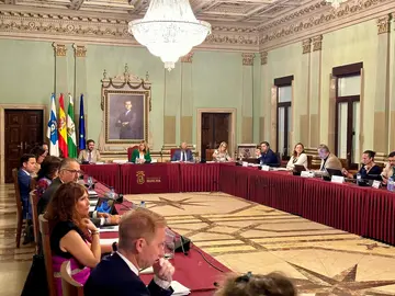 Pleno municipal de hoy