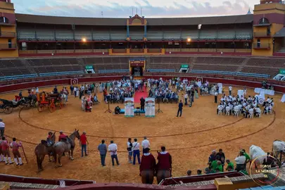 Presentación de carteles en la plaza de la Vega Larga