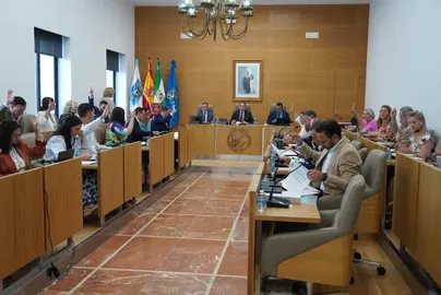 Votación plenaria en el pleno de julio