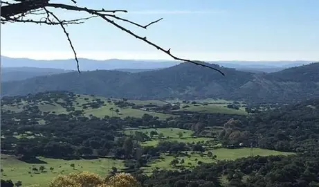Paisaje de dehesa