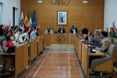 Imagen de la sesión plenaria