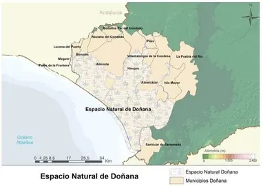 Zona del Marco de Actuaciones de Doñana