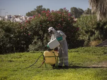 Fumigaciones en Huelva