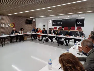 Imagen de la reunión del Consejo Asesor del Aeropuerto 'Cristóbal Colón'