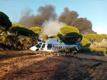 Labores de control en el área de influencia del CEUS, en Moguer y Lucena, esta tarde del lunes