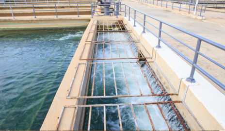 Gestión del agua
