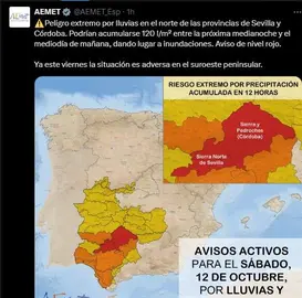 Captura de pantalla 2024-10-11 145225