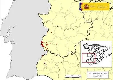 Puntos de propagación del virus de la Lengua Azul