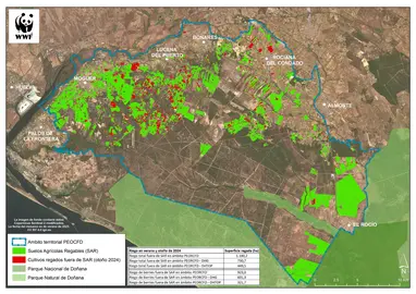 regadios-ilegales-entorno-donana