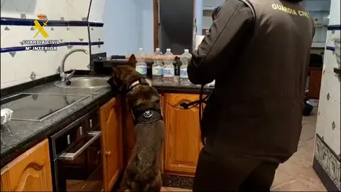 Registro en casa del sujeto