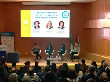 Las mujeres del sector minero, protagonistas en las jornadas sobre energía e industria_2